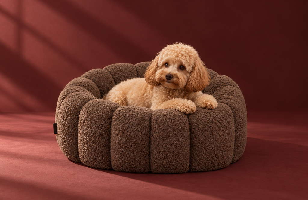 TKANO запускает коллекцию товаров для животных Pets Essential  
