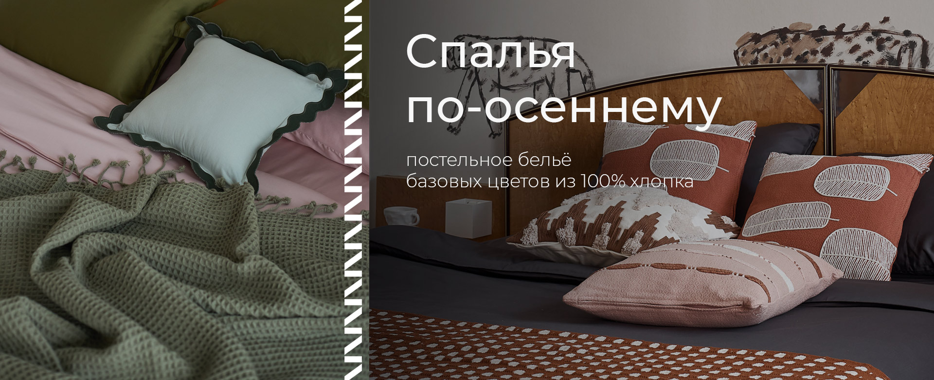 Баннер на главной странице