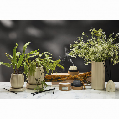 картинка Диффузор ароматический Cypress, Jasmine & Patchouli из коллекции Edge, 200 мл, бежевый от магазина Tkano