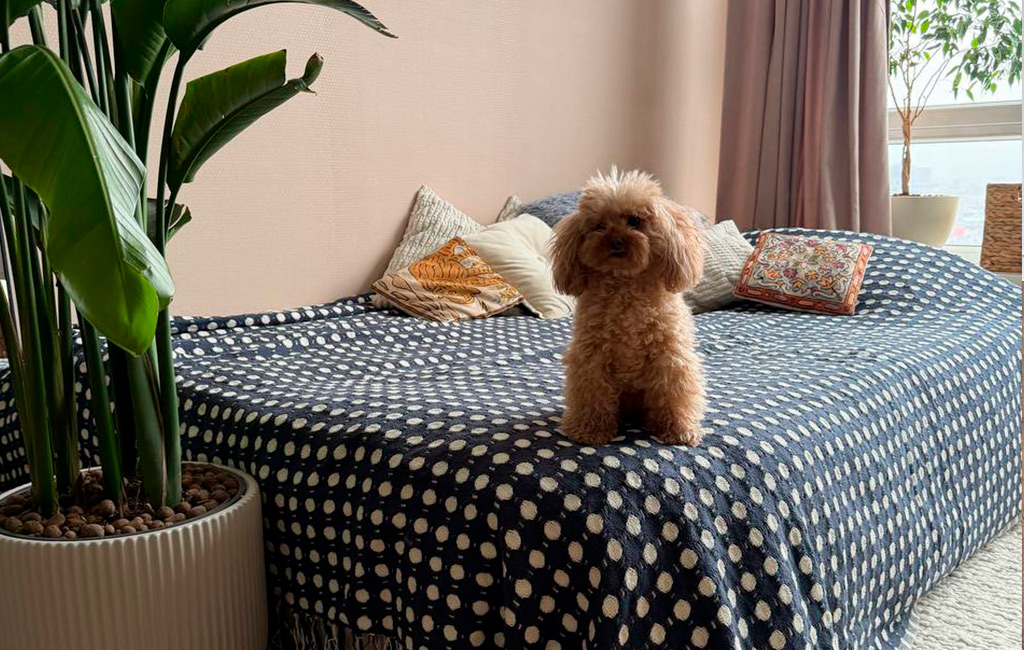 Изображение к статье Обустраиваем малогабаритную квартиру: пять приемов, которые работают