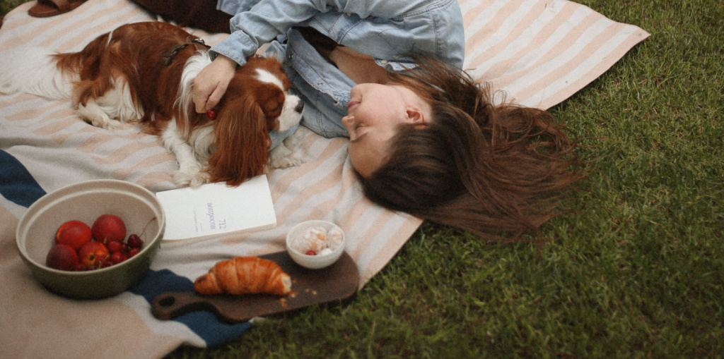 Изображение к статье Как собрать красивый пикник: вещи, которые создают атмосферу