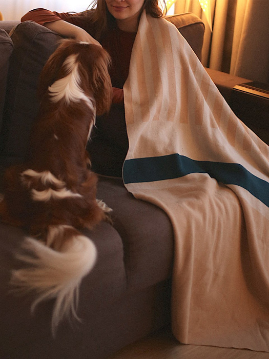 6 предметов для уюта в гостиной