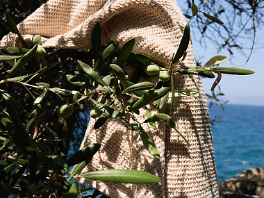 картинка Полотенце банное из умягченной вафли кремового цвета из коллекции Essential, 70x140 см от магазина Tkano