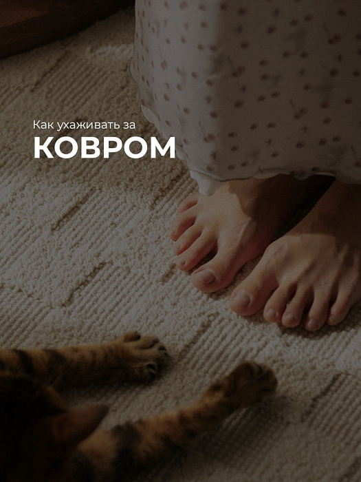 ️Вы проголосовали за рубрику об уходе за текстилем — а значит мы продолжаем ее и сегодня поговорим о коврах.