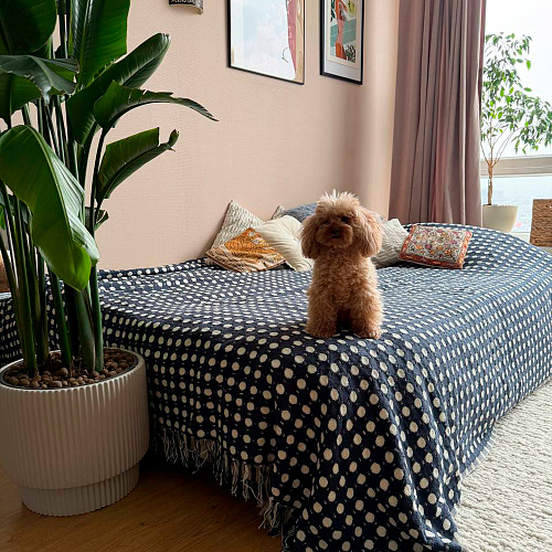 Обустраиваем малогабаритную квартиру: пять приемов, которые работают